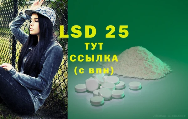 крисы Балахна